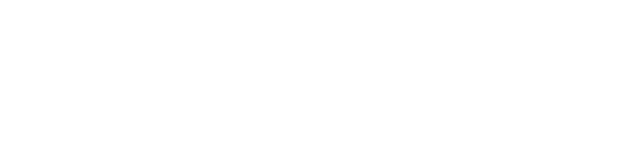 VINCI
