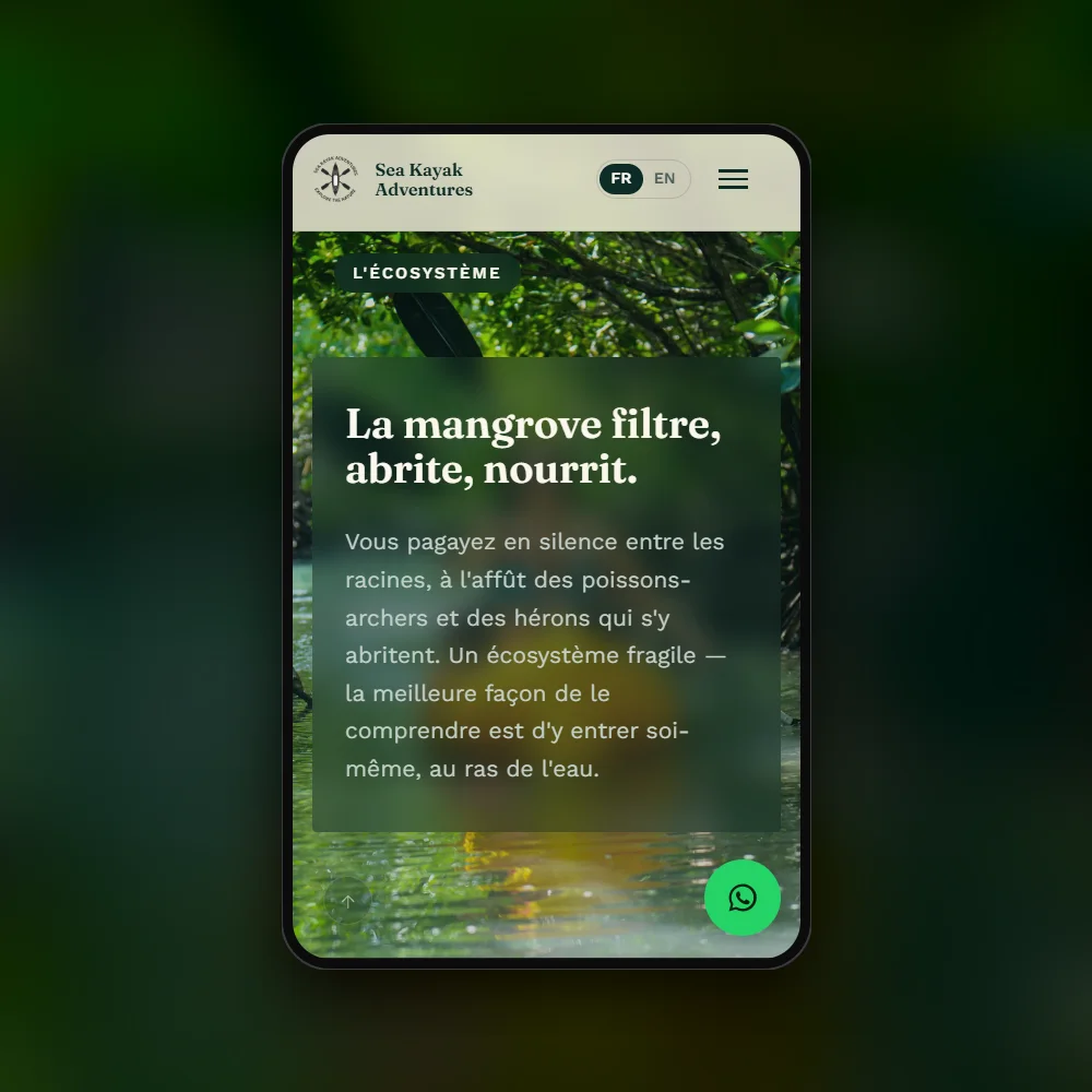 Le site de Sea Kayak Adventures sur mobile, section sur la mangrove